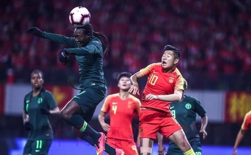 贾秀全:玫瑰绽放需要几代人努力,我一个人完成不了拼图 贾秀全:玫瑰绽放需要几代人努力,我一个人完成不了拼图